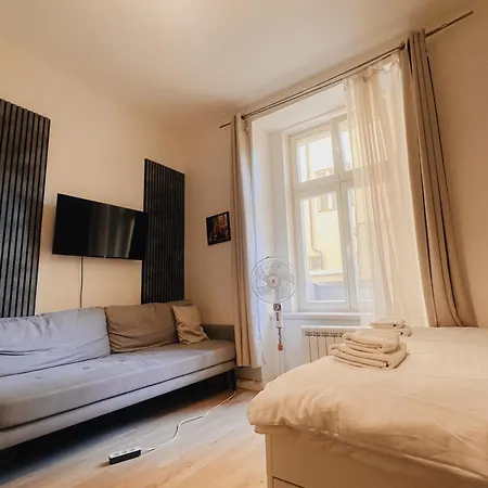 Center By The National Museum Apartment Prague